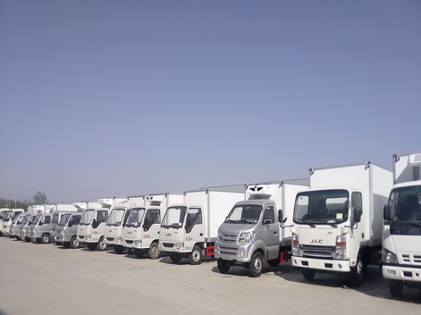 上海冷鏈物流 上海冷鏈物流