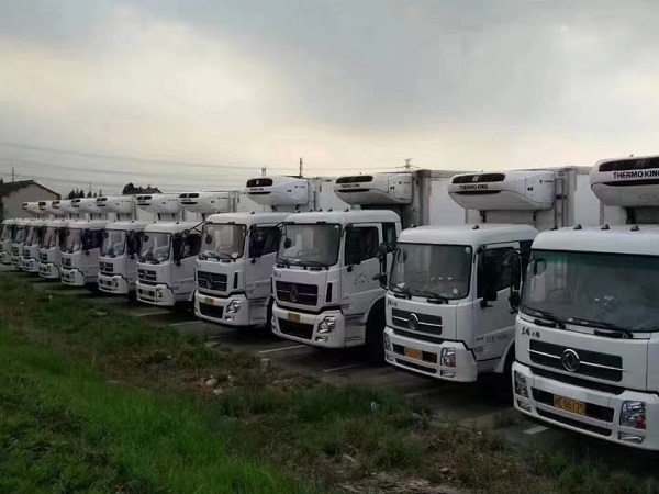 上海冷藏運輸 上海冷藏運輸